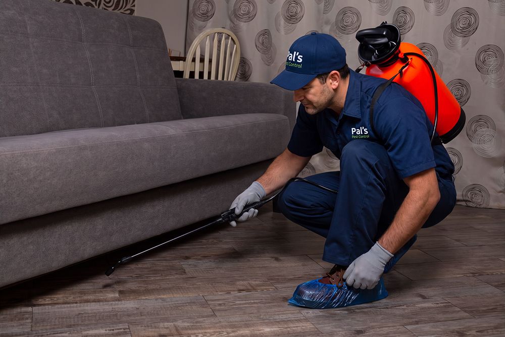 Protecting Your Property,