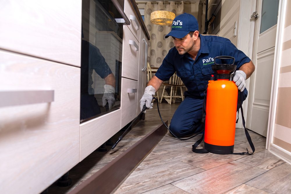 General pest control