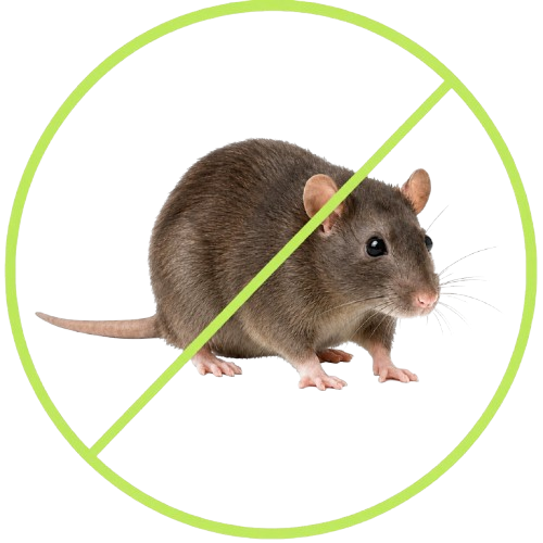 Rodent control