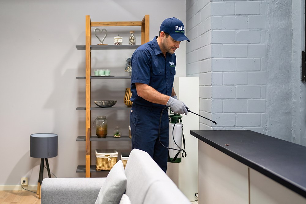 Trusted by homeowners and businesses across Australia